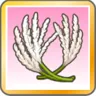 大きくてつやつや
