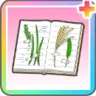 みちくさ研究ノート+