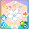 開花+